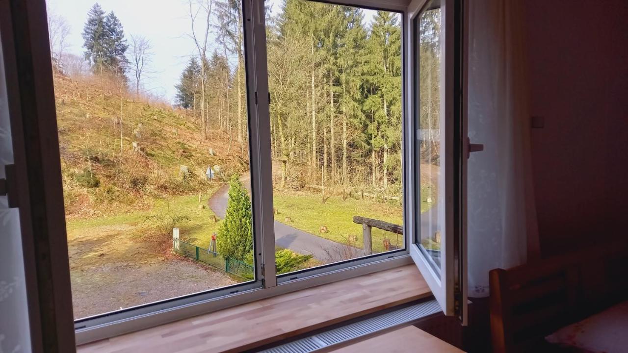 Waldpension Harzer Waldwinkel Bad Grund Eksteriør bilde