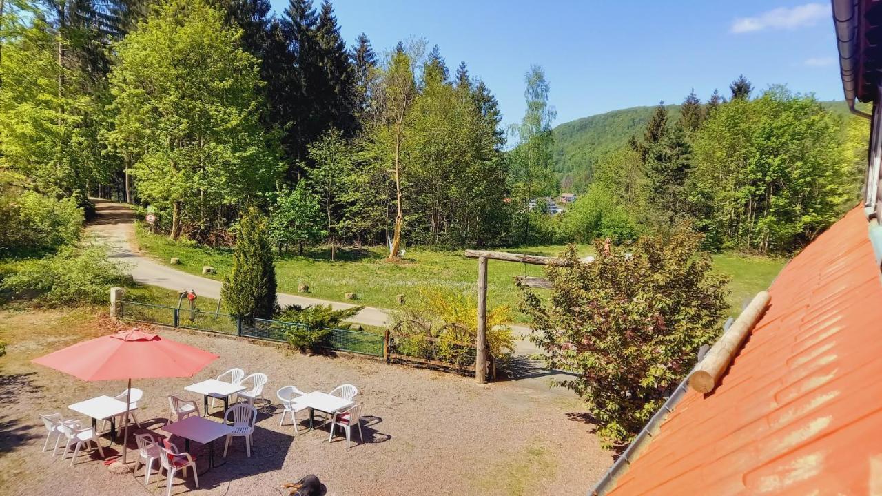 Waldpension Harzer Waldwinkel Bad Grund Eksteriør bilde