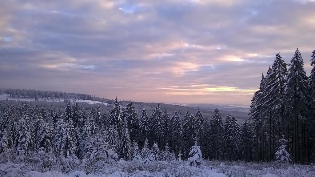 Waldpension Harzer Waldwinkel Bad Grund Eksteriør bilde